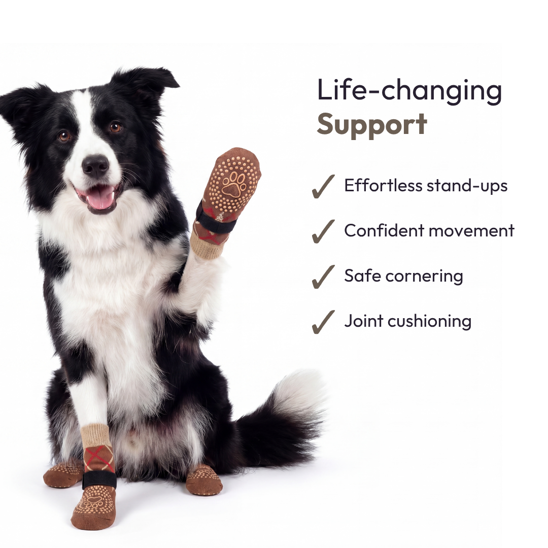 Wellowag™ Premium Anti-Slip Dog Socks