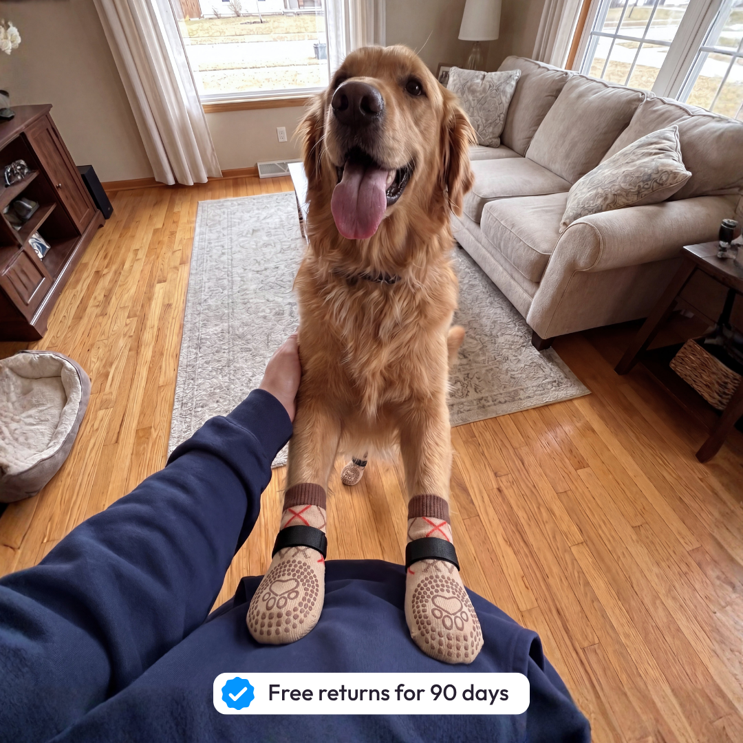 Wellowag™ Premium Anti-Slip Dog Socks